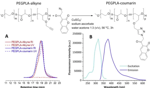 Fig. 3. Reaction scheme for the preparation of a polyethylene glycol-block-poly(lactide-co-propargyl glycidyl ether)-coumarin conjugate and characterisation of the polymer by gel permeation chromatography in THF with UV (320 nm) and refractive index (RI) d