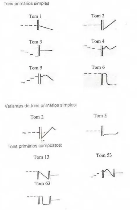 Figura 9 – Tons primários simples e compostos do português 