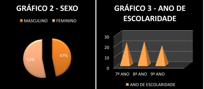 GRÁFICO 3 - ANO DE  ESCOLARIDADE 