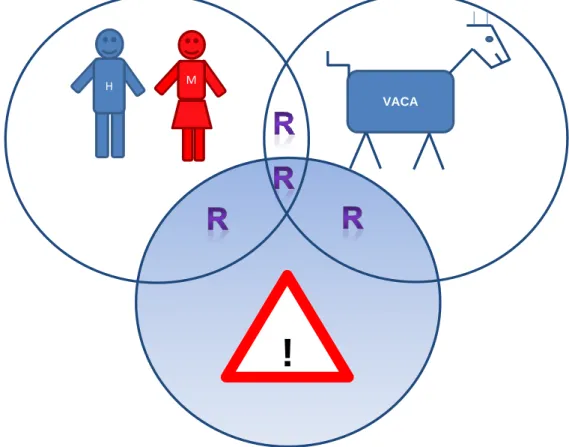 Figura 12: Esquema representativo da origem do risco em explorações leiteiras.  