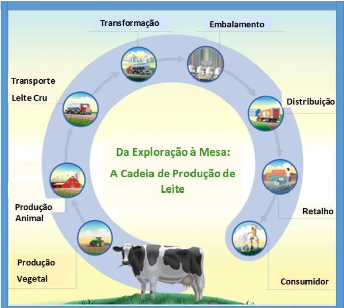 Figura 1: Da exploração à mesa: a cadeia de produção de leite (dairygood.org, 2012). 