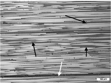 Figura 2: Seção longitudinal do laminado unidirecional analisado após o condicionamento higrotérmico