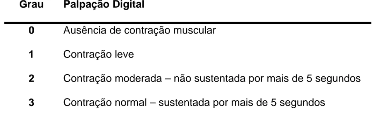 Tabela 1. Classificação subjetiva em diferentes graus de contração muscular do AP  (Amaro et al., 2003)