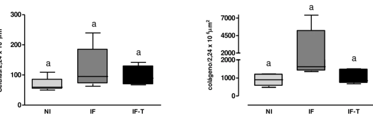 Gráfico  9:  Celularidade  (A)  e  fibrose  (B)  no  miocárdio  de  cães  infectados  com  4.000  tripomastigotas/kg,  via  intraperitoneal,  da  cepa  Berenice-78  do  Trypanosoma  cruzi  e  necropsiados 1 mês após o tratamento com 7mg de benznidazol /kg 