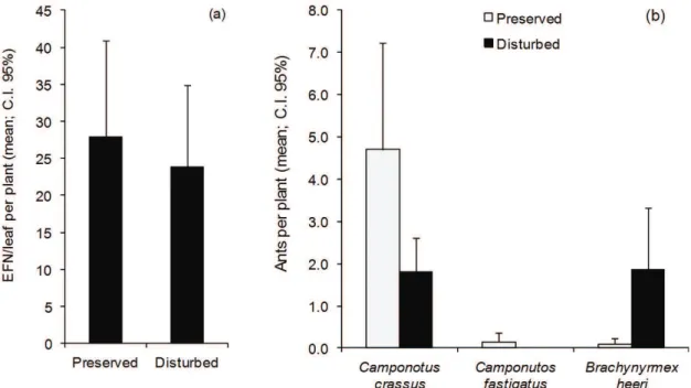 Figure 2.  The plants showed the same number of extrafloral nectaries per leaf independent of disturbance (left graph(a))