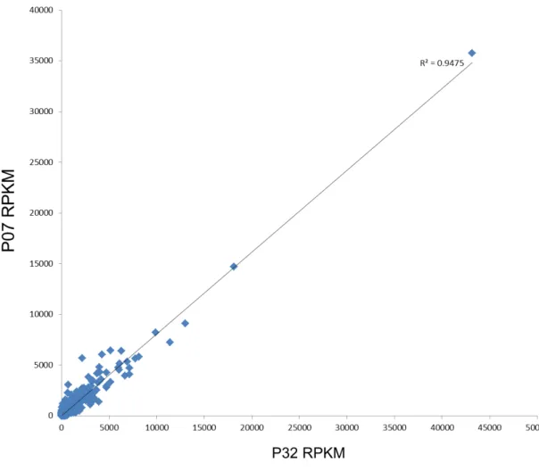 Figure 1. R2 linear regression of the RNA-Seq data from both OE lines (P07 and P32). The R2 values  were calculated using the Sigma Stat package based on the RPKM values derived from 
