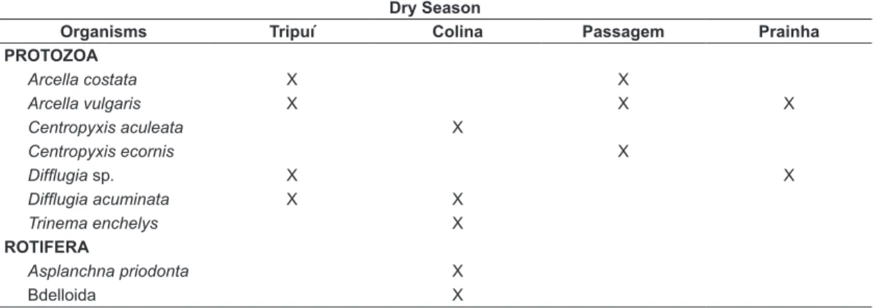 Table 2. Presence of zooplanktonic species in the sampled points for the dry season. 