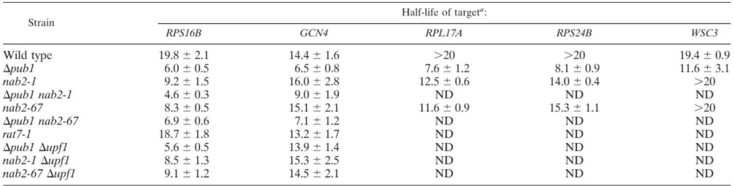 FIG. 5. Amino acid substitutions within the Nab2 zinc finger domain abolish the interaction with Pub1 and decrease RPS16B mRNA stability