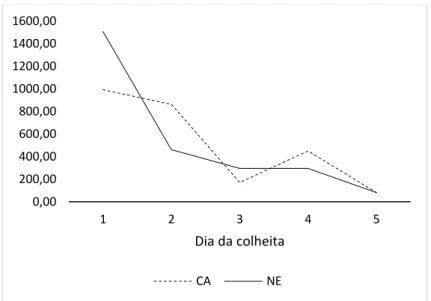 Figura 1. Médias do número de cópias do DNA de Babesia bovis em amostras de DNA  de novilhas Caracu (CA) e Nelore (NE) em cinco dias de colheita de sangue