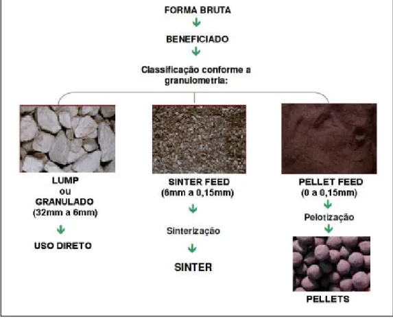 Figura 2-2 Classificação do minério de ferro por produto (Samarco, 2008). 
