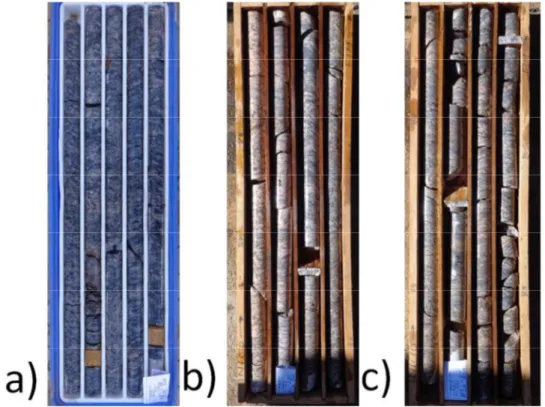 Figura  3.21:  Fotografia  dos  testemunhos  apresentando  os  diferentes  graus  de  fraturamento  observados  durante  a  descrição:  (a)  grau  F2  (FCA006,  caixa  07);  (b)  grau  F3  (FCA222,  caixa  43);  (c)  grau  F4  (FCA222, caixa 44)