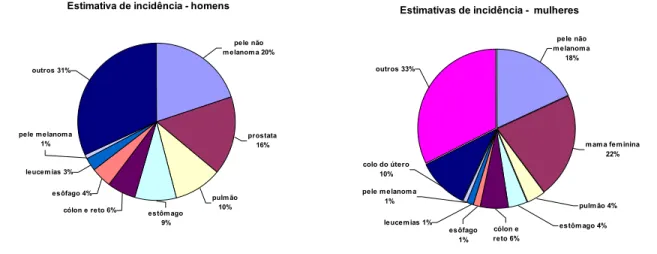 Figura 2: Estimativas de Incidência e Mortalidade para o Câncer no Brasil em 2002 (INCA, 2005)