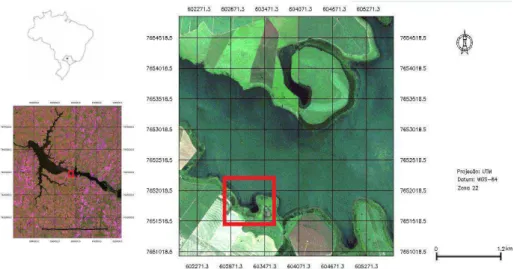 Figura 11- Área de estudo: trecho do reservatório de Nova Avanhandava.  Fonte: UTSUMI, 2012