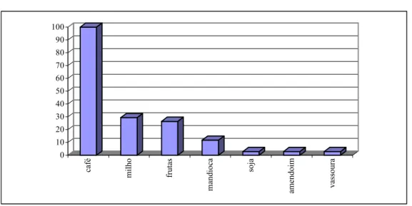 Gráfico 4: Produtos comercializados na Vila Rural da Paz -Rolândia (%) 
