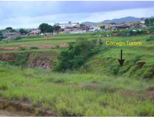 Foto 01: Área de uso urbano em vertente que drena para o córrego Tucum. (Bairro São  Dimas) 