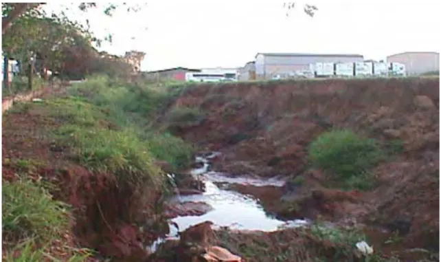 Foto 6: Sinais de retomada erosiva transversal e longitudinal, a montante da canalização do Ribeirão Tijuco  Preto