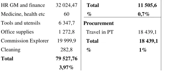 Figure V: Skypro’s value chain – Value activities’ percentage 