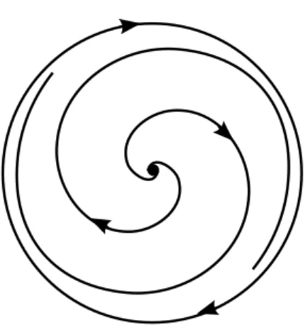 Figura 1.9: Retrato de fase do sistema (1.7) no disco de Poincar´e.