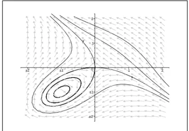 Figura 1.12: Retrato de fase do sistema (1.9) no plano. Temos que a express˜ao de p(X) na carta U 1 ´e dada por