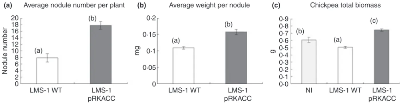 Figure 1 Results obtained from the plant growth assay using chickpea cultivar ELMO (Desi type), 45 days postinoculation with LMS-1 wild-type or LMS-1 (pRKACC) strain