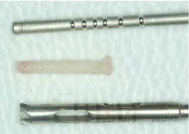 Figura  13  –  Vista  do  osso  coletado  para  biópsia  (com  13mm de comprimento), ao lado da broca trefina utilizada  para sua remoção e de um profundímetro cirúrgico