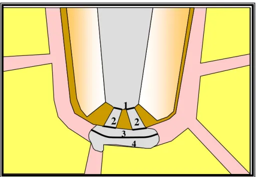 Figura  4  -  Representação  esquemática  dos  escores  atribuídos  aos  vários  limites  apicais             passíveis de serem atingidos pelo material obturador