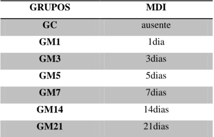 Tabela 1 - Formação dos Grupos Experimentais 