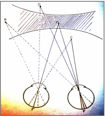 Figura 5: Área de Panum 