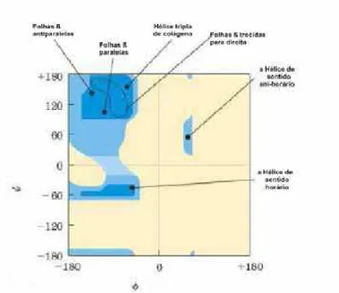 Figura 7. Gráfico Ramachandran e variedade de estruturas: Os valores de ĳ e ȥ de varias  estruturas secundárias permitidas conhecidas cai nas regiões esperadas para as Į-hélices  e as conformações ȕ