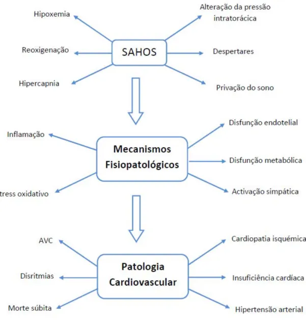 Figura 4 – Mecanismos fisiopatológicos da associação SAHOS e doença  cardiovascular   