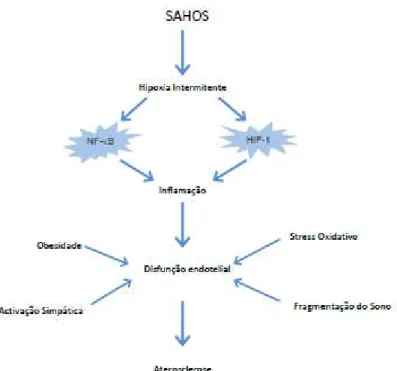 Figura 5 – Activação e interacção das vias inflamatórias em resposta à hipoxia  intermitente na SAHOS    