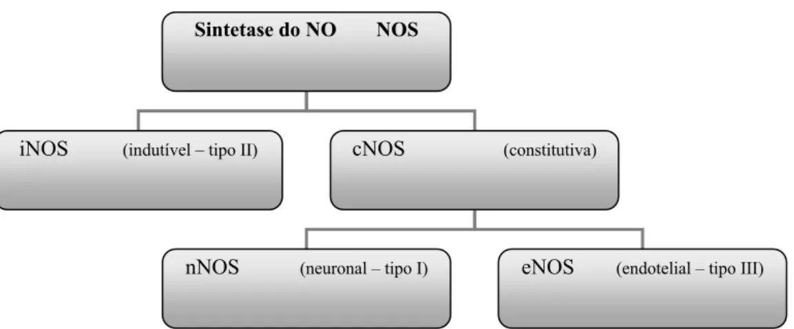 Figura 6 - Reacção de formação do NO 