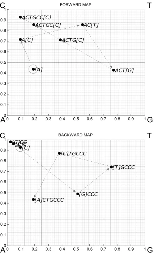 Illustration of the unidirectional USM procedure for the sequence, "ACTGCCC"