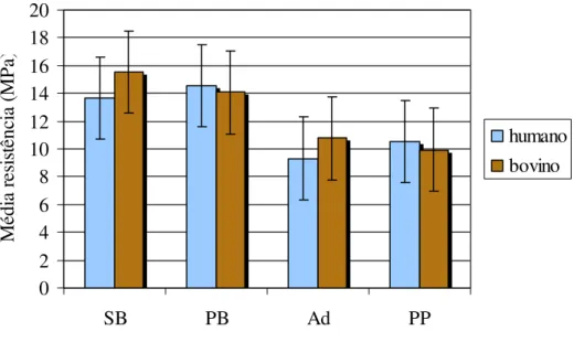 FIGURA 10 - Representação gráfica de médias de resistência de união ao  cisalhamento, em MPa, de acordo com o tipo de dente e o  sistema adesivo empregado: SB (Single Bond), PB (Prime e  Bond NT), Ad (AdheSE) e PP (Adper Prompt L-POP)