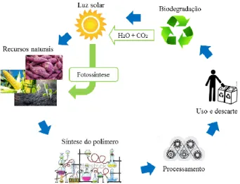 Figura 1 - Ciclo de vida ideal dos polímeros biodegradáveis provenientes de fontes renováveis [2].