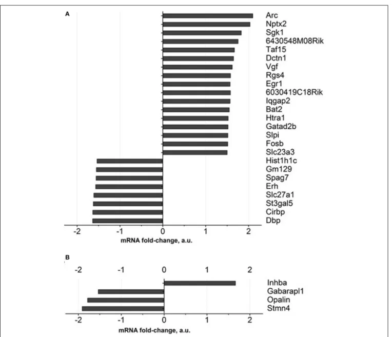 FIGURE 4 | Gene expression profiling of brain of old mice treated with Dicholine Succinate