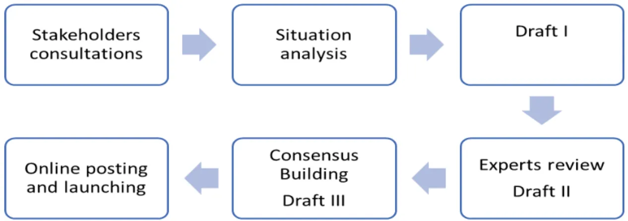Figure 6:  The development process of NISCVT’s mental health strategy .   
