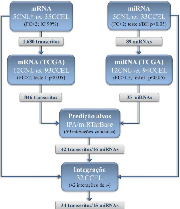 Figura 8. Fluxograma resumindo as abordagens utilizadas para a análise integrada dos dados de expressão gênica e  de miRNAs