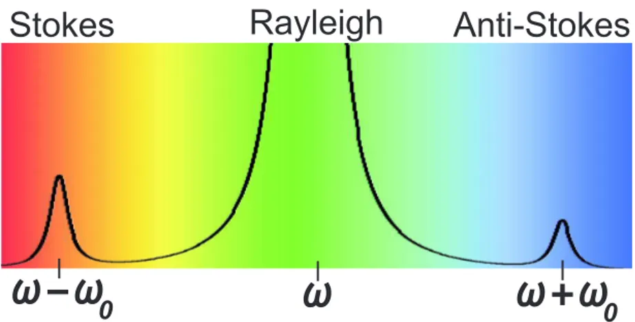 Figure 3.2 illustrates a Raman spectrum in which an incident light with frequency ω creates Stokes and anti-Stokes components with frequency given by ω − ω 0 and ω i + ω 0 respectively