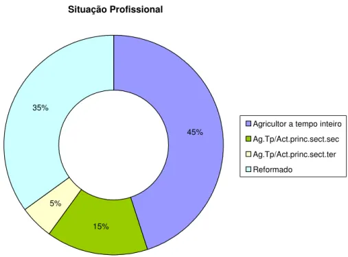 Figura 3 – Situação profissional. 