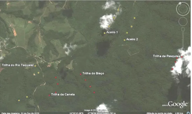 Figura 3  –  Áreas estudadas no Parque Estadual Carlos Botelho  –  SP. Trilha do Rio Taquaral,  Aceiro 1 e Aceiro 2  –  áreas em estádio sucessional secundário-inicial (em amarelo)