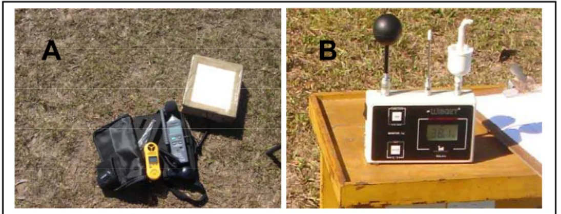 Figura 5: Foto do luxímetro usado para medição da luminosidade do ambiente (A) e do  IBUTG usado na medição da temperatura ambiente (B)