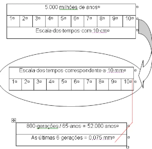 Figura 2.1 – Esquema gráfico da história evolutiva da Humanidade 