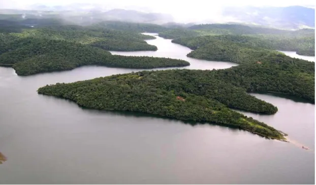 Figura 2: Os dois principais tipos de paisagens do PERD: trechos florestais entremeados por  lagos (Foto: M
