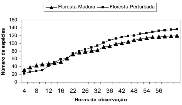 Figura 2: Curva cumulativa de espécies de aves obtida a partir das duas localidades  amostradas do Parque Estadual do Rio Doce, Brasil, nos anos de 2005 e 2006 (floresta  madura x floresta perturbada)