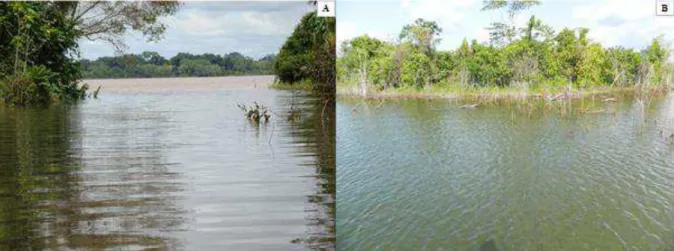 Figura 8 -Vista parcial do ponto de amostragem rio Jaci-Paraná (Jaci) antes (A) e após (B) a  construção  da  barragem  da  UHE  de  Santo  Antônio  do  Madeira,  Porto  Velho,  Rondônia,  Brasil