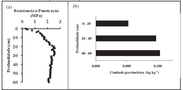 Figura 4 - Curva de resistência à penetração (a), e valores de umidade gravimétrica (b) em  profundidade no perfil do solo na área de estudo