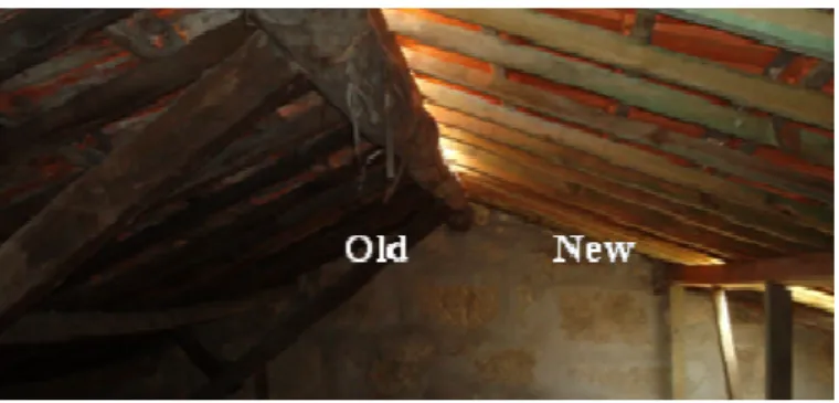 Figure 9. Coexistent old and new timber structural elements. 