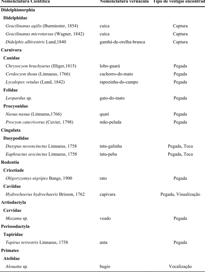 Tabela 3: Espécies de mamíferos não voadores identificadas na área de estudo composta por um fragmento de  cerrado no Município de Ribeirão Bonito, Estado de São Paulo