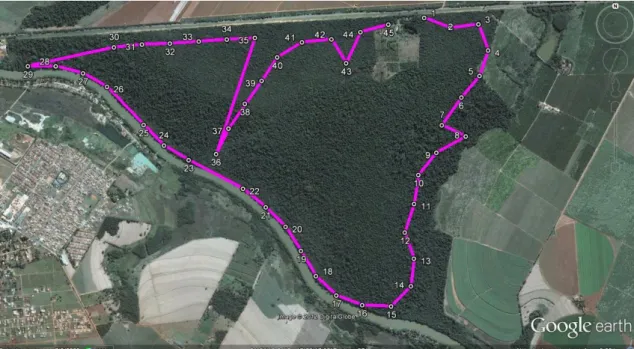 Figura 9. Projeção dos pontos de escuta em imagem aérea do Parque Estadual de Porto Ferreira  (adaptado de Google Earth, 2009).